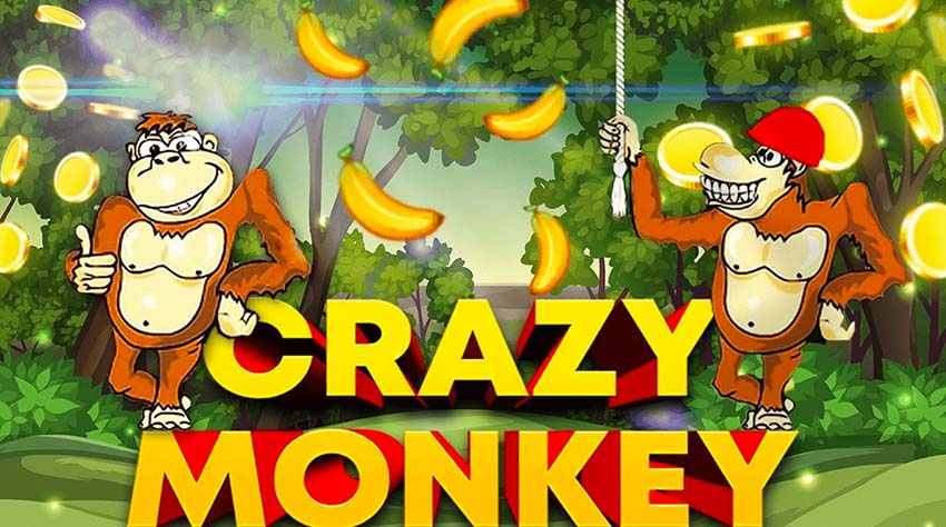 Crazy Monkey Logo